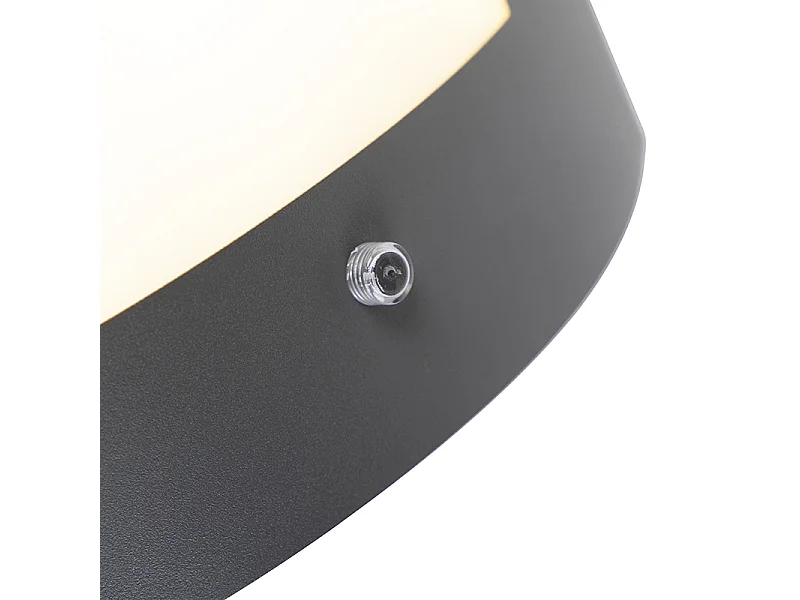 Applique murale extérieure anthracite IP44 capteur clair-foncé - Emmerald 1