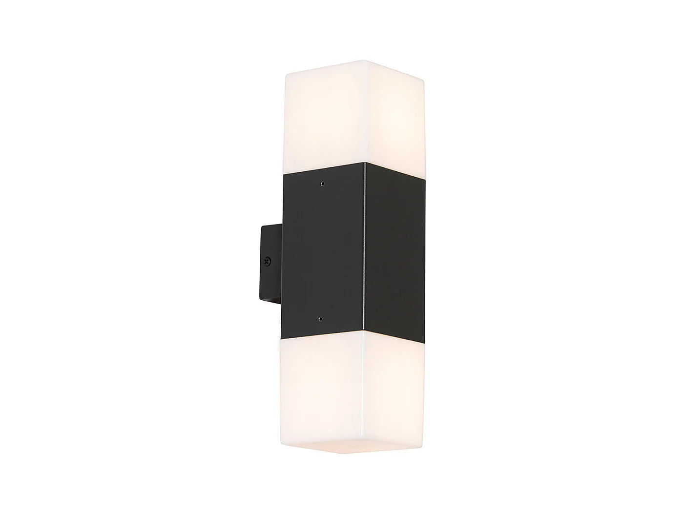 Applique d'extérieur noire avec abat-jour opale 2 lumières IP44 - Danemark