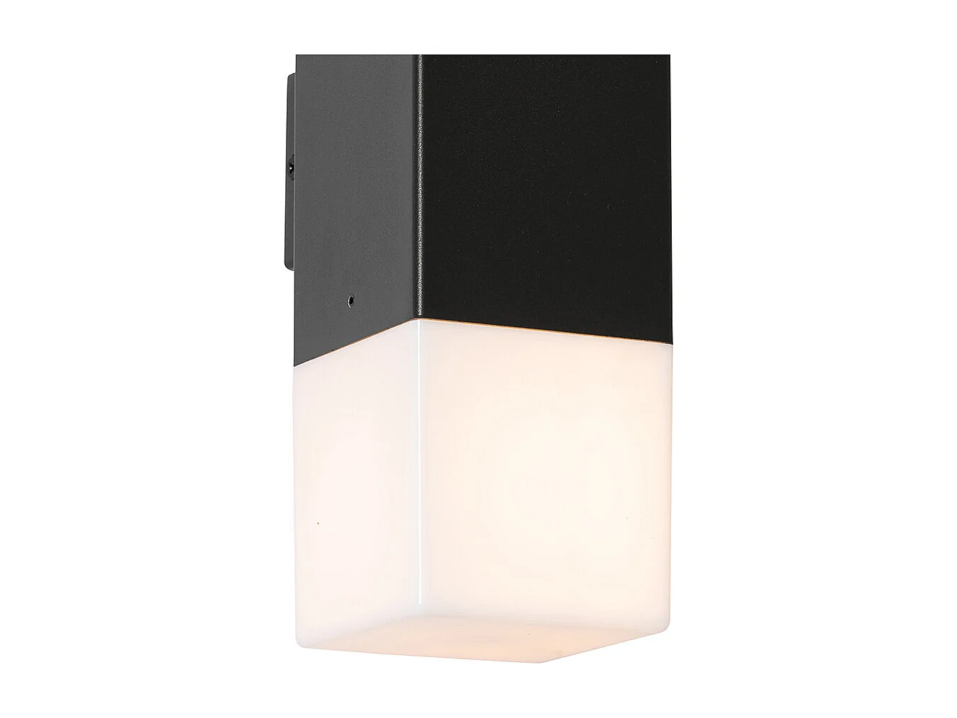 Applique murale extérieure noire avec abat-jour opale 2 lumières IP44 - Danemark