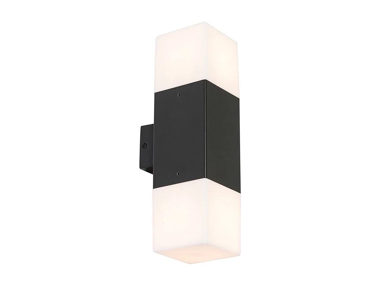 Applique murale extérieure noire avec abat-jour opale 2 lumières IP44 - Danemark
