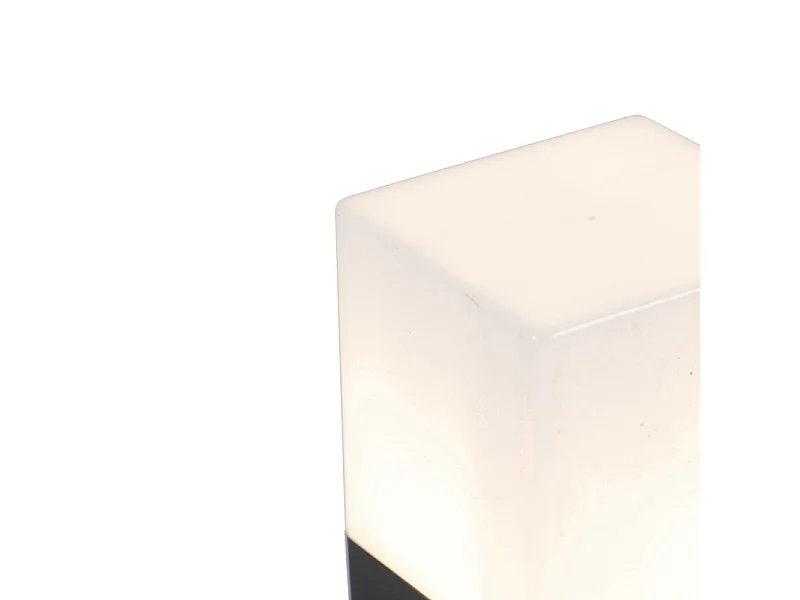 Piquet extérieur noir en verre opale 70 cm avec piquet de terre et presse-étoupe - Danemark