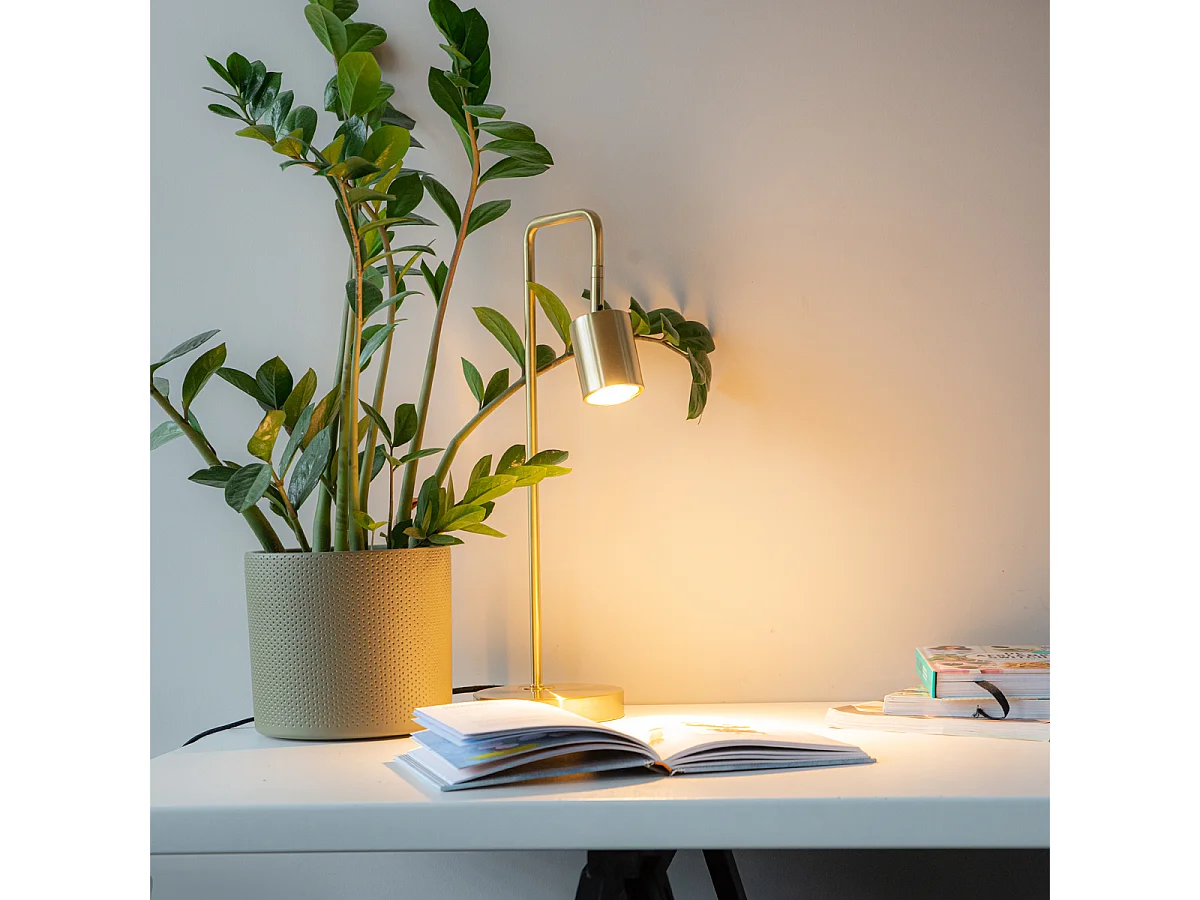 Lampe de table moderne en laiton réglable - Java