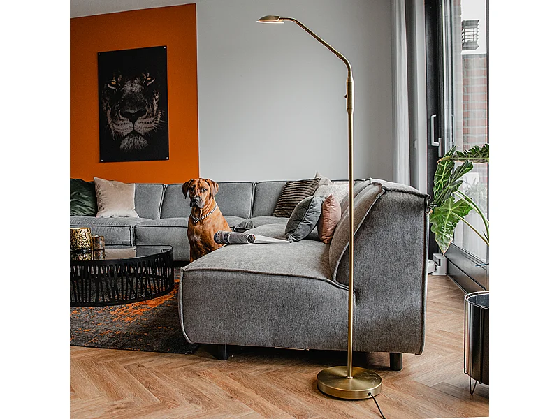 Lampadaire moderne bronze avec LED - Eva