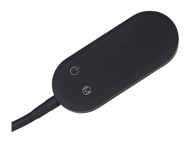 Lampadaire moderne noir avec LED dimmable en 4 étapes - Botot