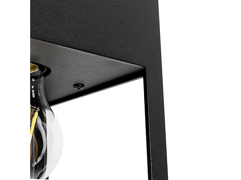 Plafonnier moderne noir 2 lumières - Cela