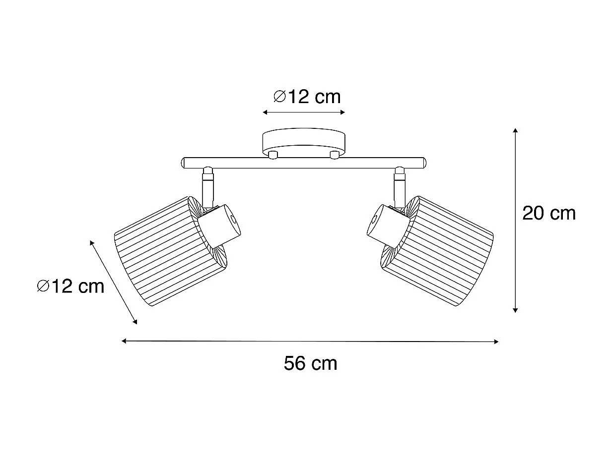 Spot de plafond noir avec verre fumé 2 lumières orientable - Laura