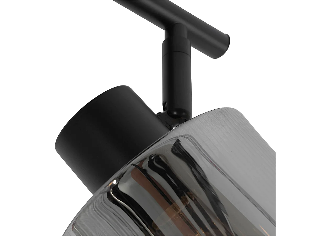 Spot de plafond noir avec verre fumé 2 lumières orientables - Laura