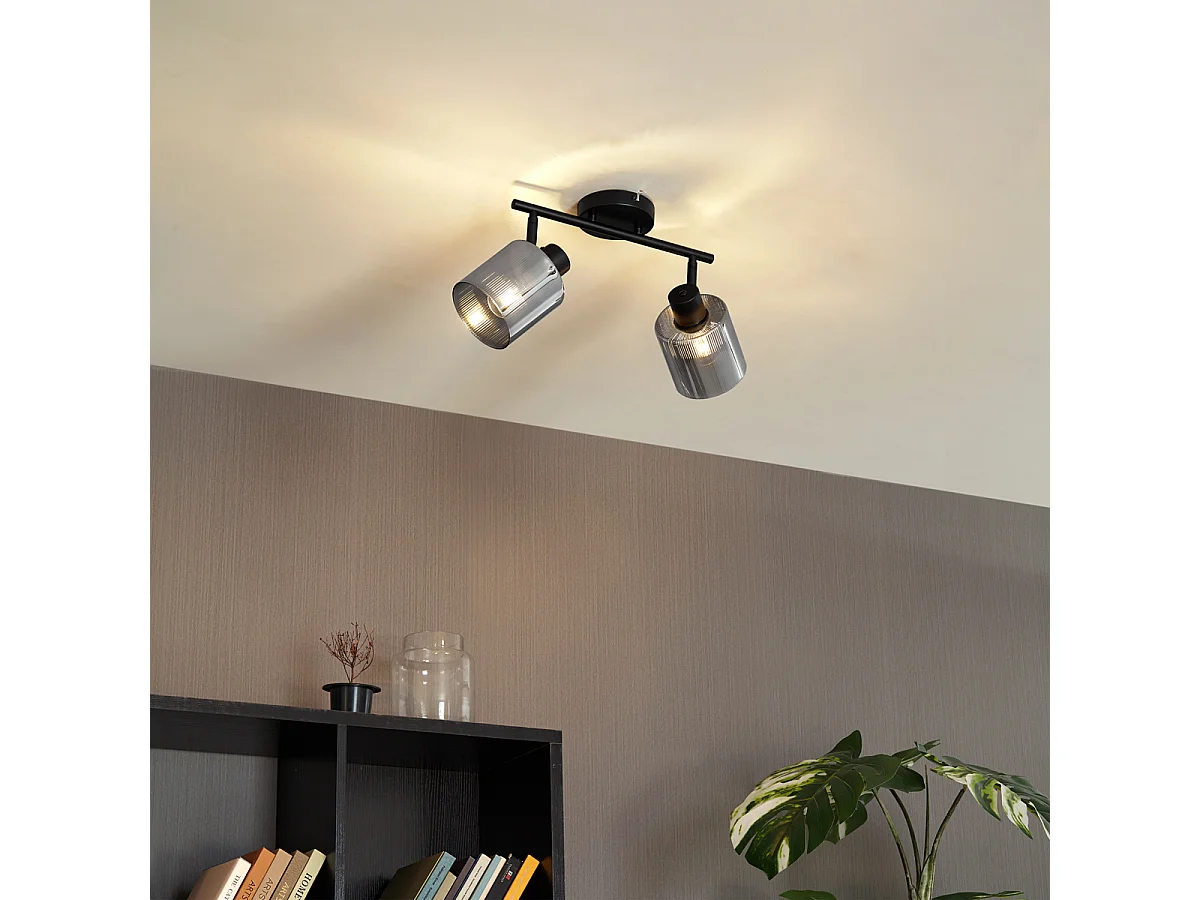 Spot de plafond noir avec verre fumé 2 lumières orientables - Laura