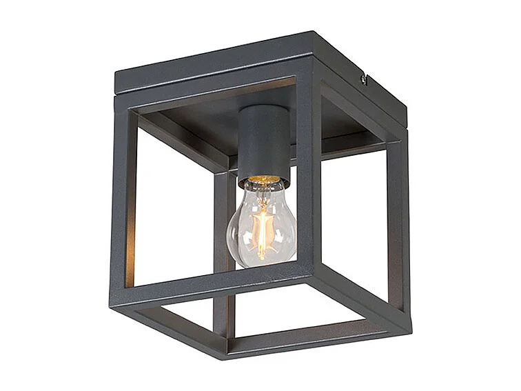 Plafonnier industriel gris foncé - Cage