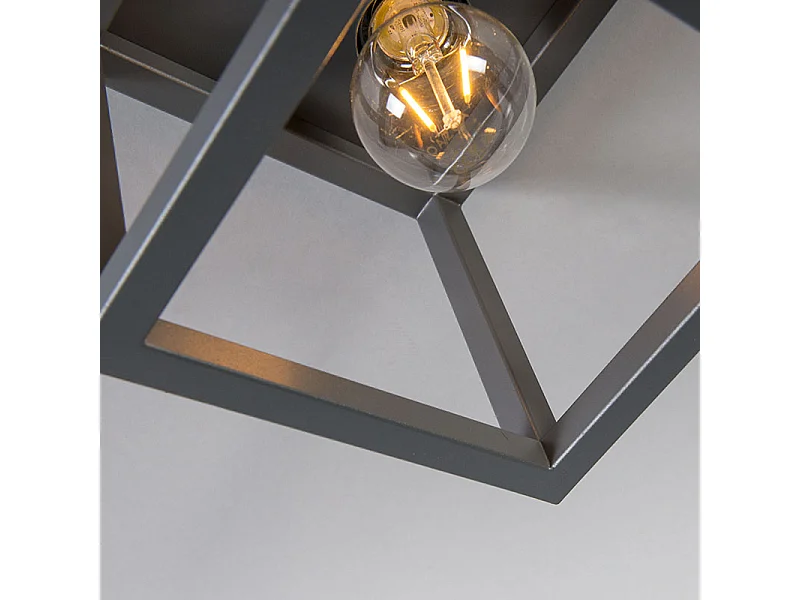 Plafonnier industriel gris foncé - Cage