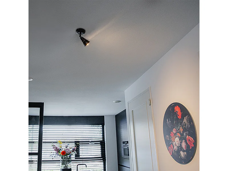 Spot de plafond et de mur antirouille et inclinable - Coney 1