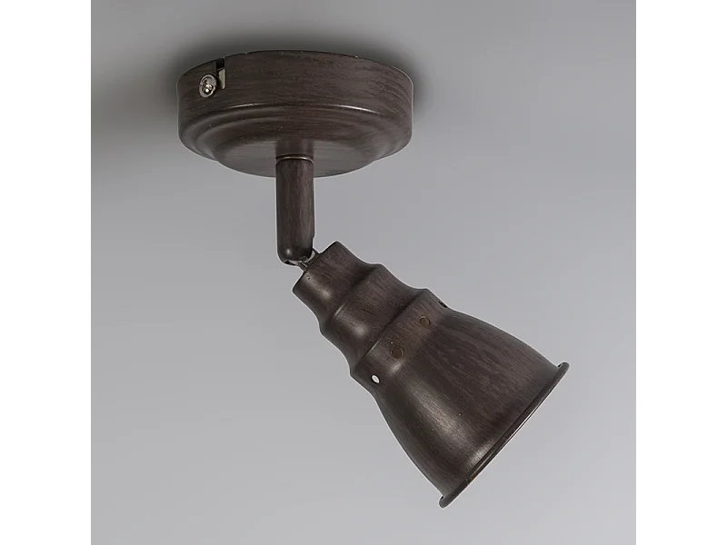 Spot de plafond et de mur antirouille et inclinable - Coney 1
