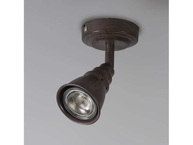 Spot de plafond et de mur antirouille et inclinable - Coney 1