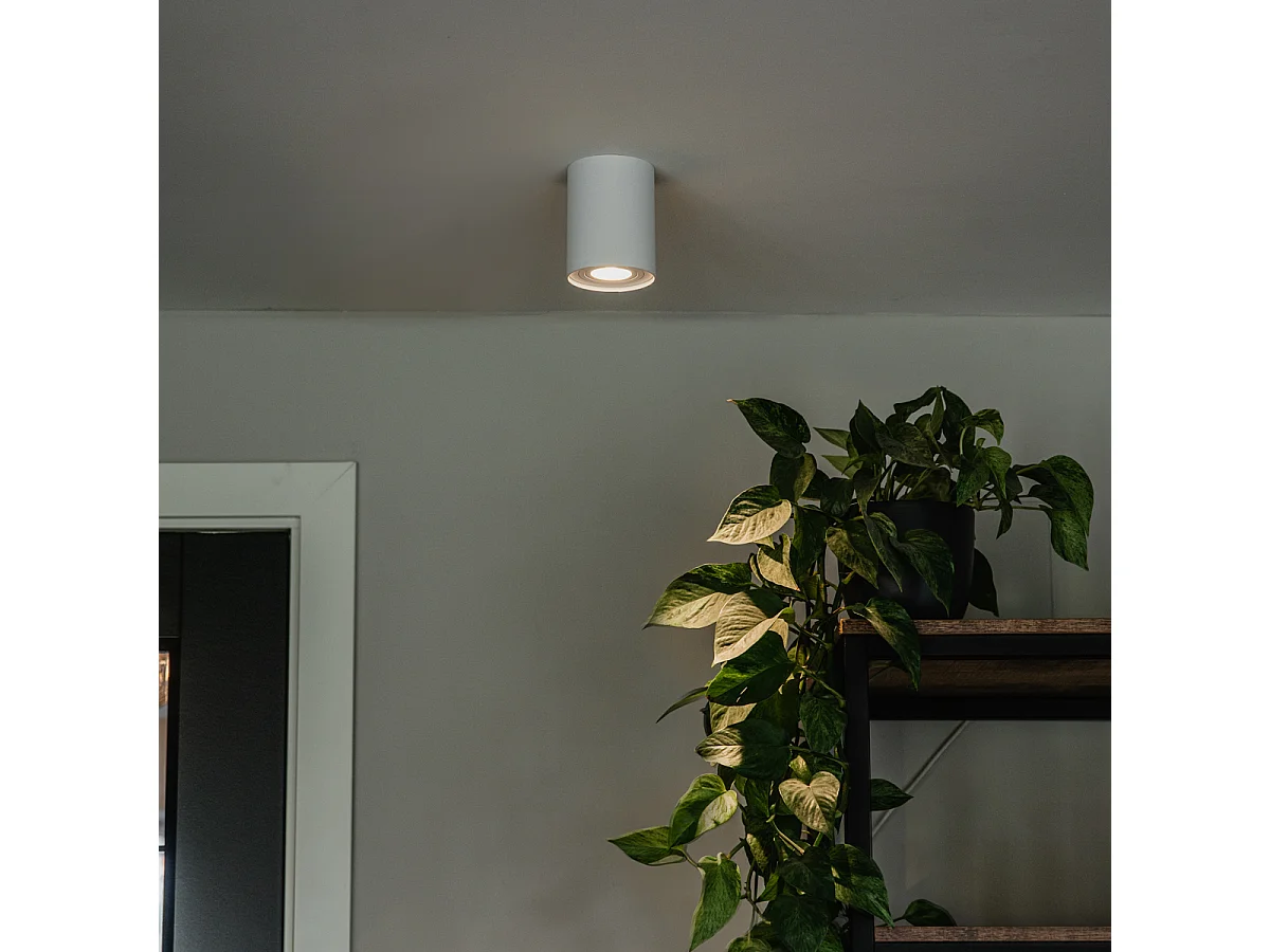 Spot plafond moderne blanc orientable et inclinable - Rondoo up