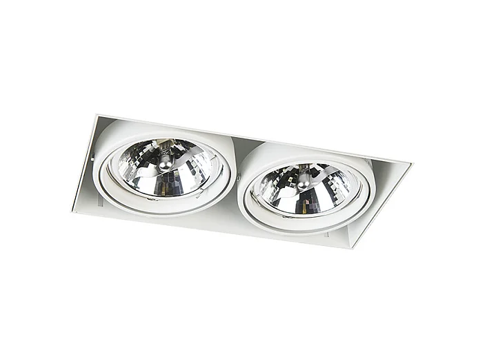 Spot encastré blanc orientable et inclinable AR111 sans bordure 2 lumières - Oneon