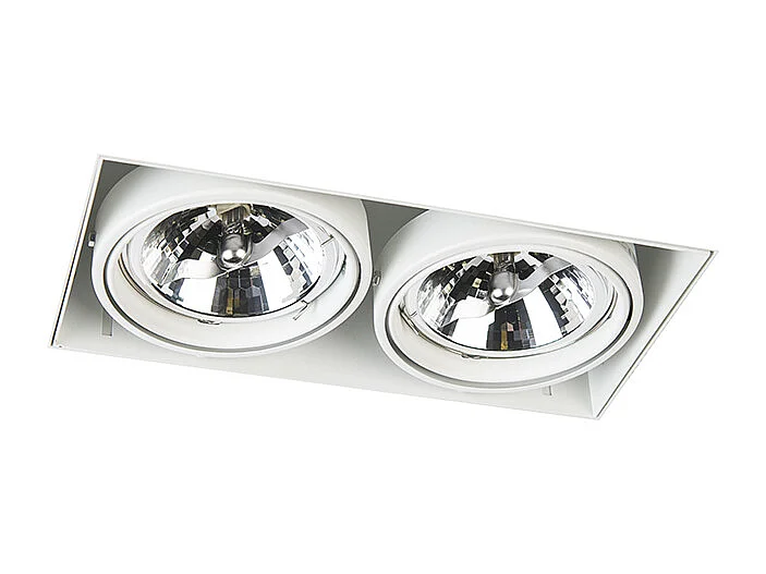 Spot encastré blanc orientable et inclinable AR111 sans bordure 2 lumières - Oneon