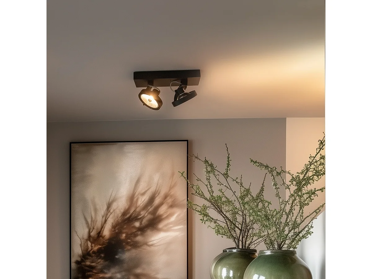 Spot design noir orientable 2 lumières - Go