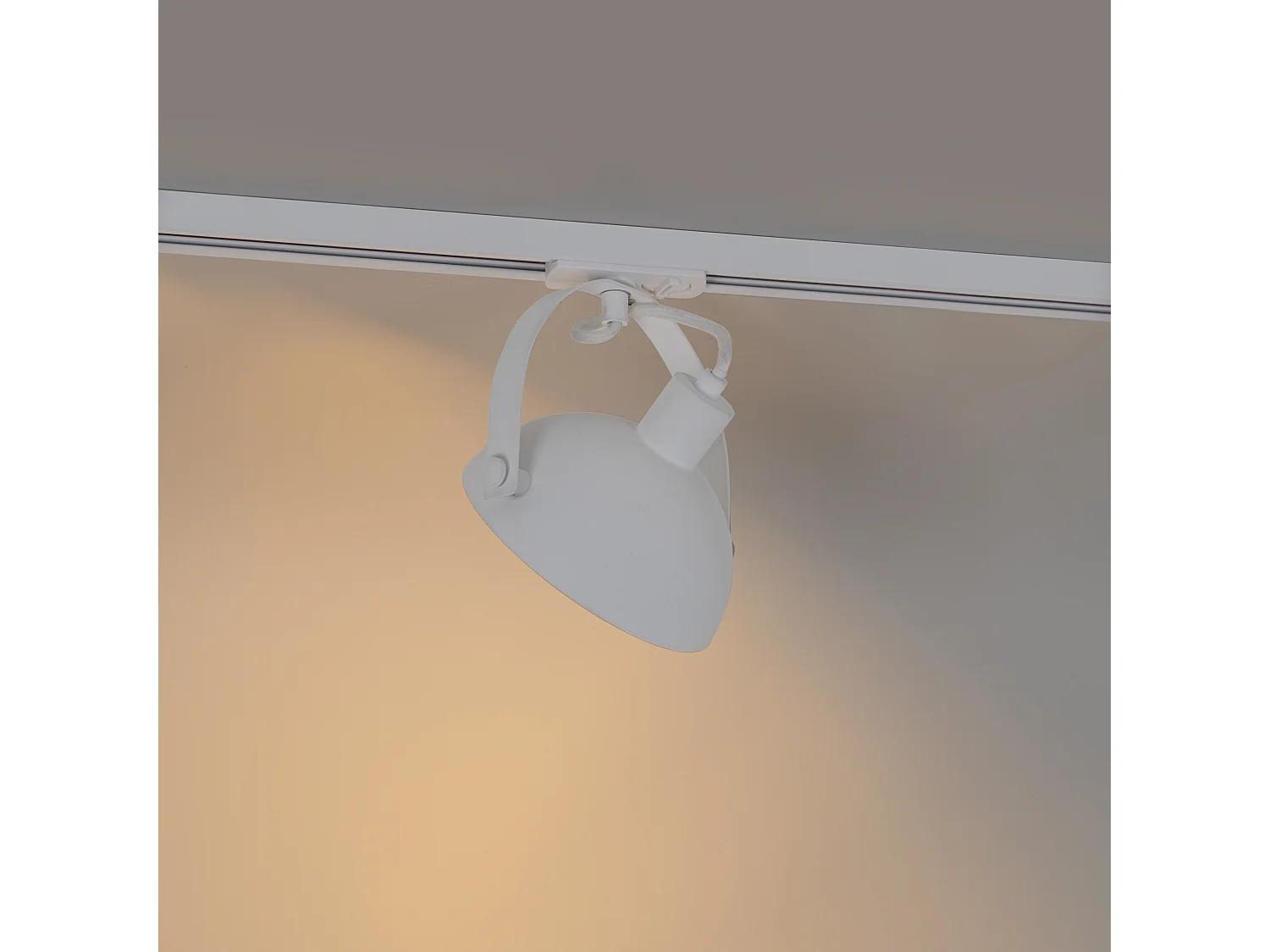 Spot sur rail industriel blanc avec intérieur argenté - Magnax