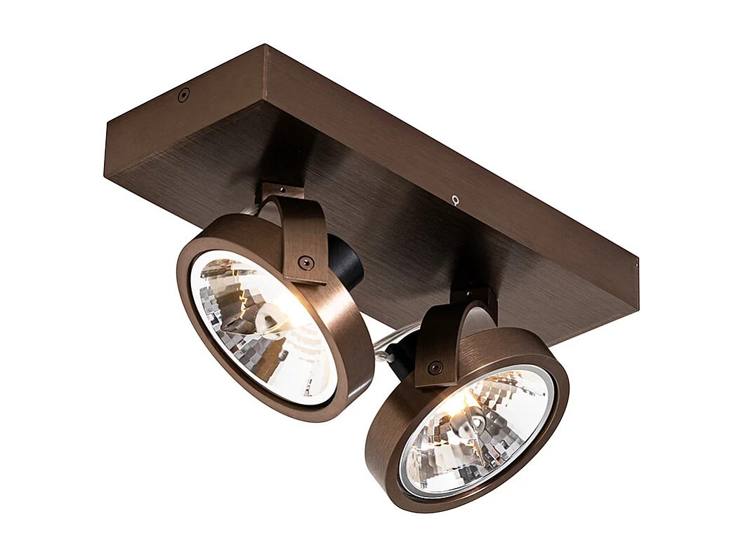Spot design bronze foncé orientable 2 lumières - Go