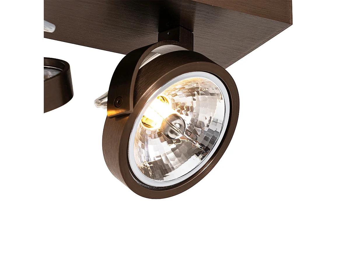 Spot design bronze foncé 2 lumières orientables et inclinables - Go