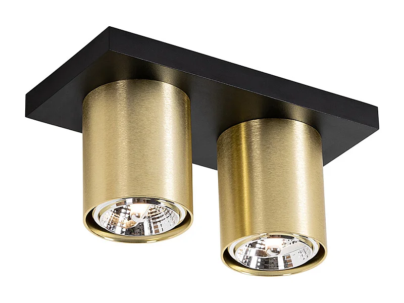 Spot de plafond moderne noir et doré 2 lumières - Tubo