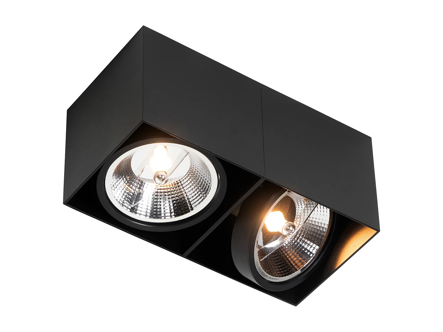 Spot design noir rectangulaire AR111 2 lumières - Box