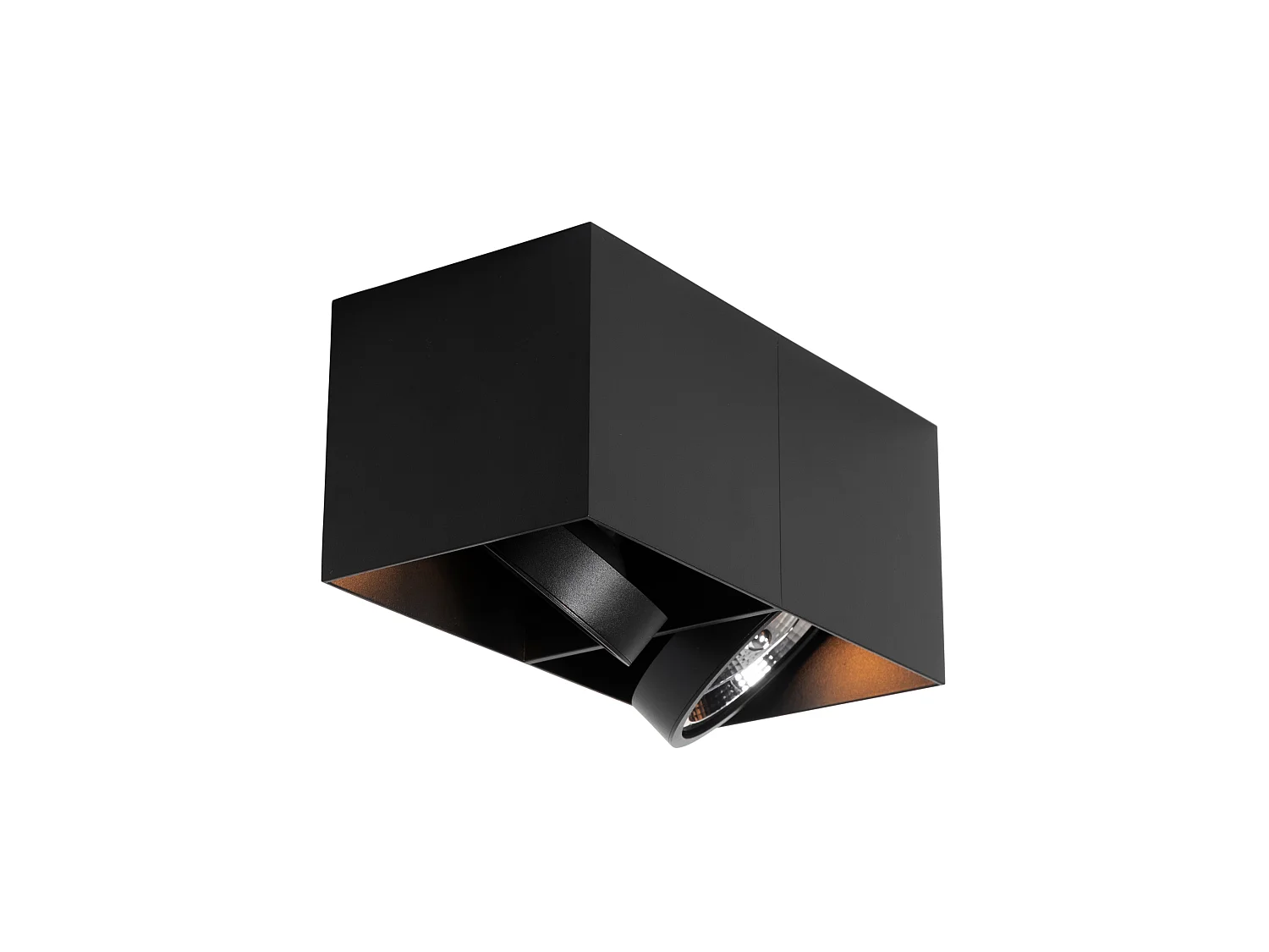 Spot design noir rectangulaire AR111 2 lumières - Box