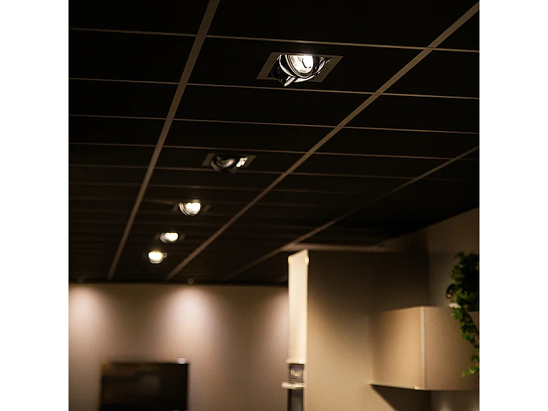 Spot encastré noir orientable AR111 2 lumières - Oneon