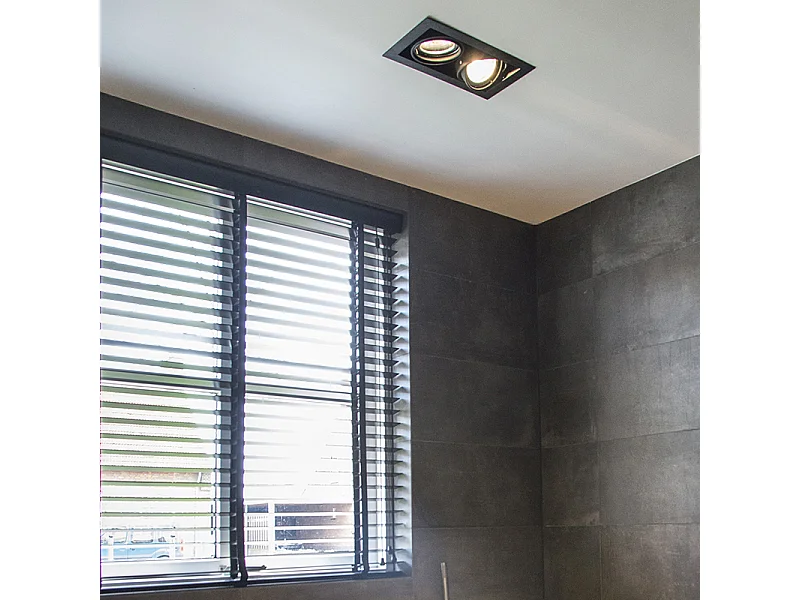 Spot encastré noir orientable AR111 2 lumières - Oneon