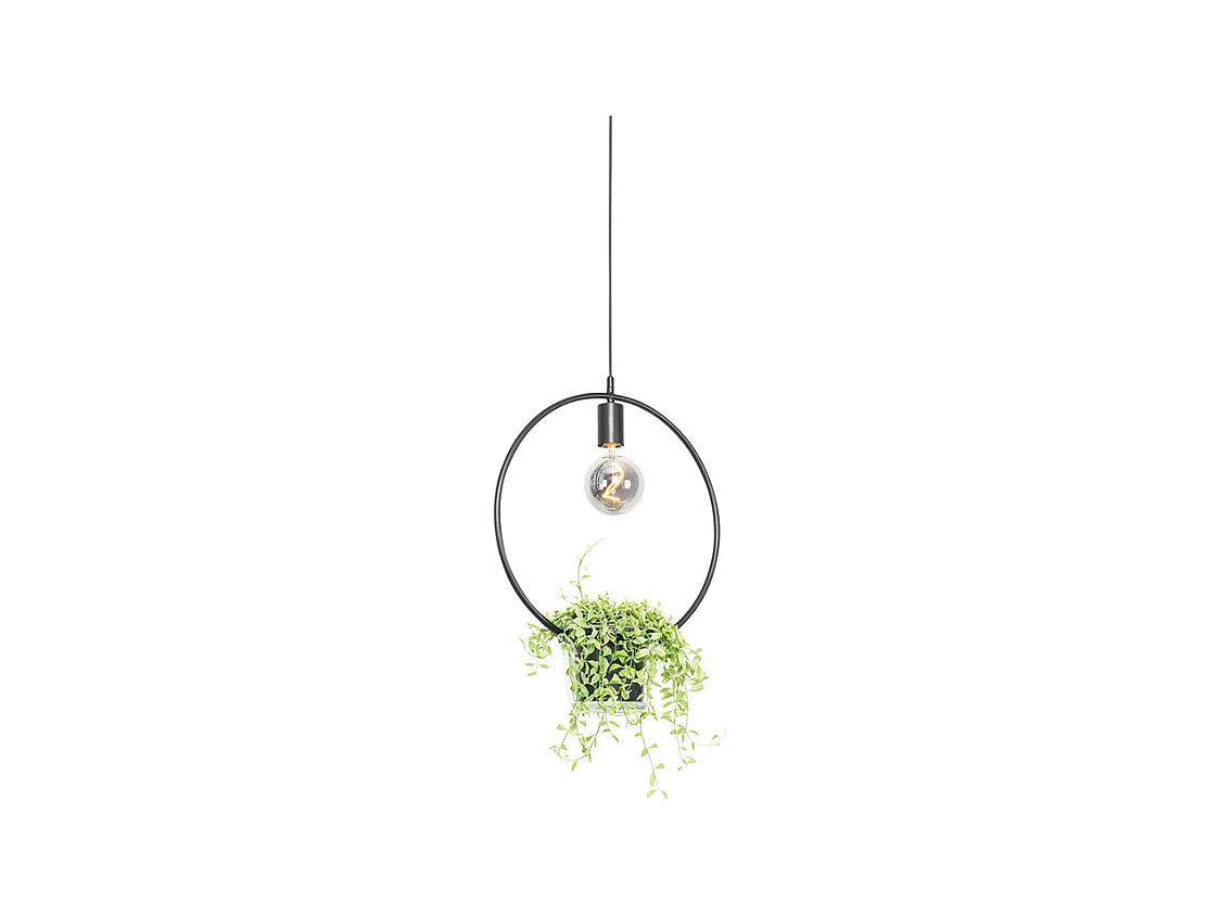 Suspension moderne ronde noire avec pot en verre - Roslini