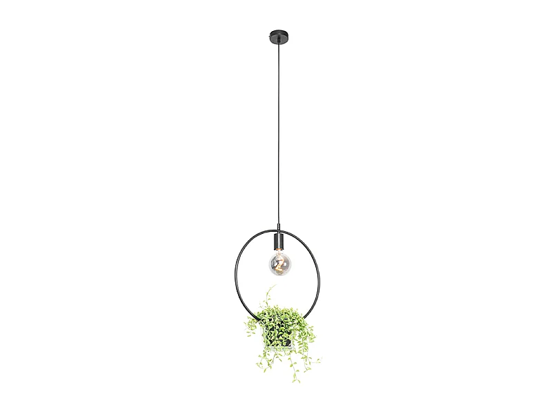 Suspension moderne noire avec verre rond - Roslini