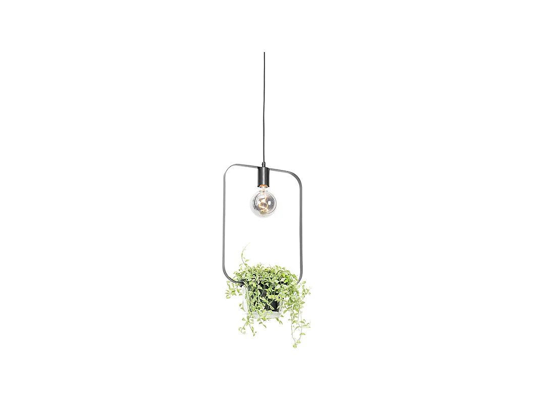 Suspension moderne rectangulaire noire avec verre - Roslini