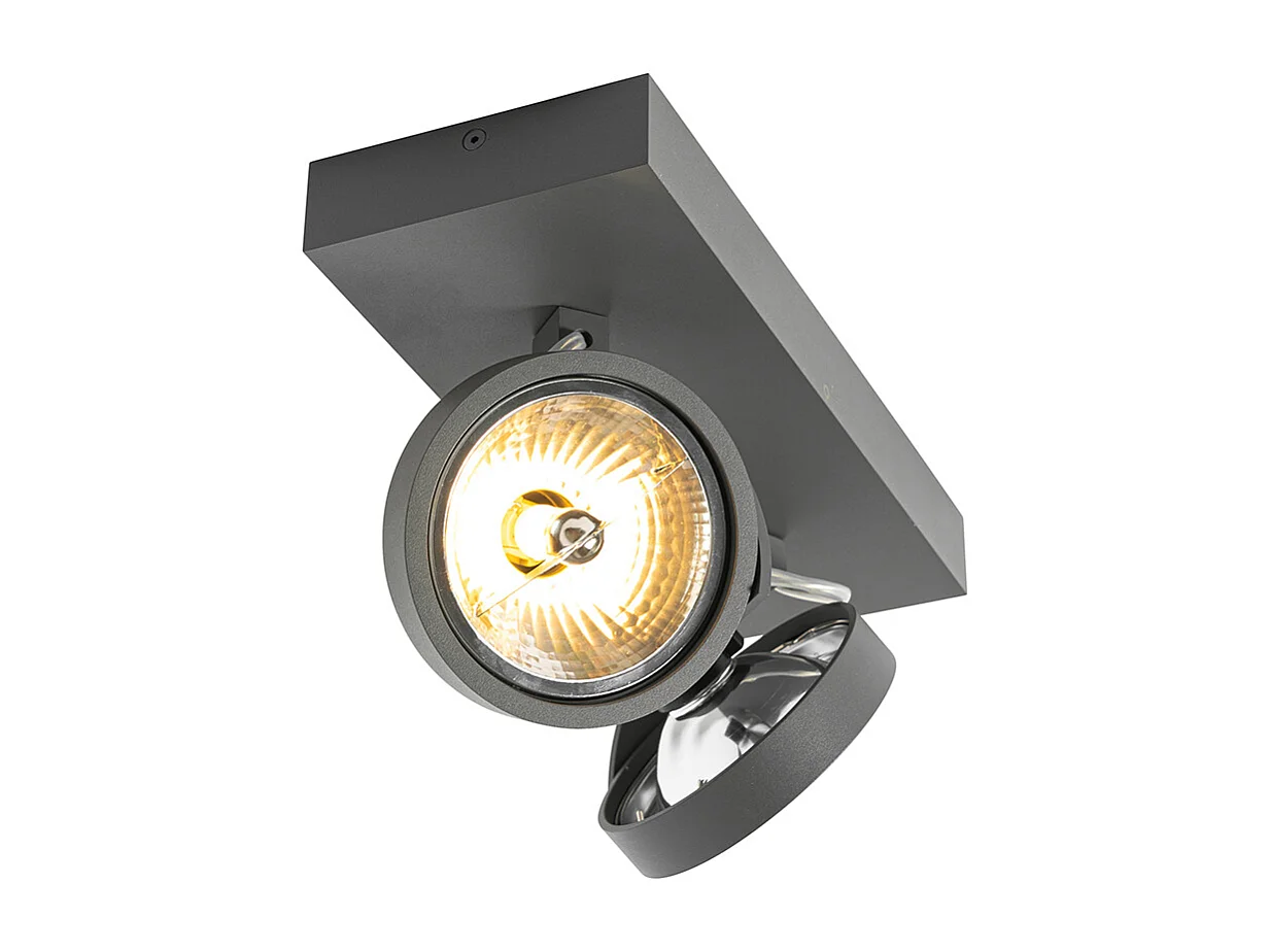 Spot design gris orientable 2 lumières - Go