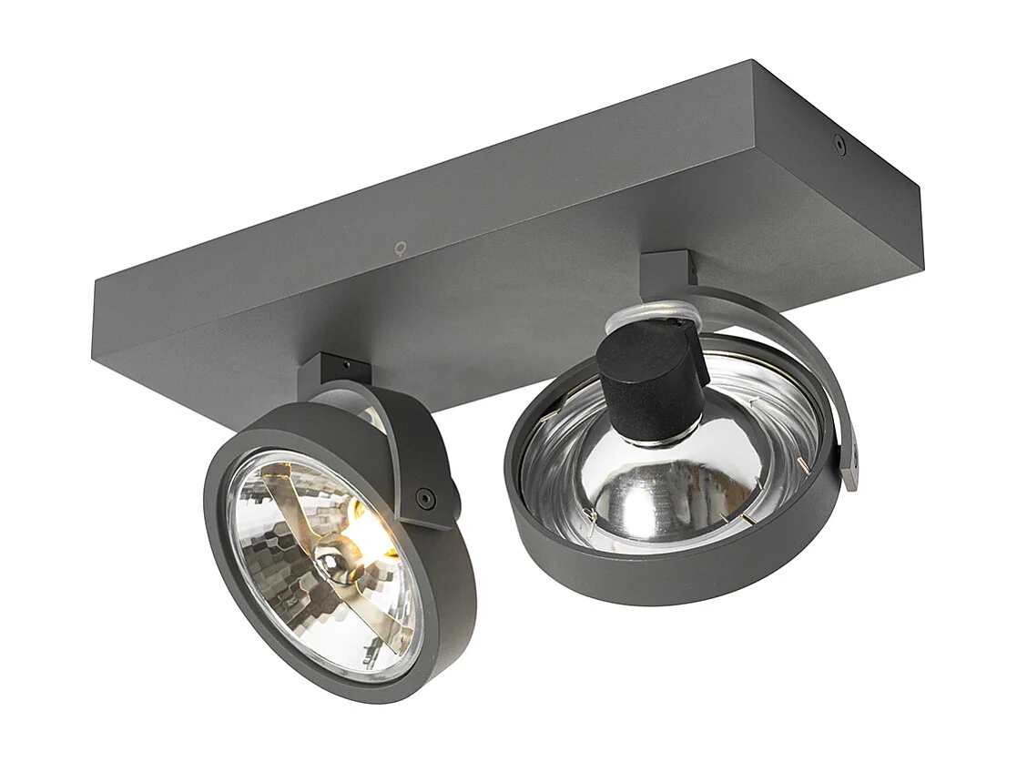 Spot design gris orientable 2 lumières - Go