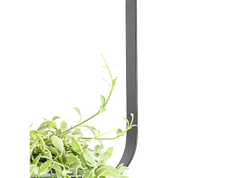 Plafonnier moderne noir avec verre rectangulaire - Roslini