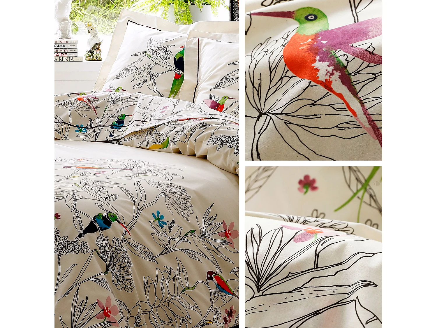 Parure de lit 280x240 cm 50x70 cm en coton AMAZONIA ecru