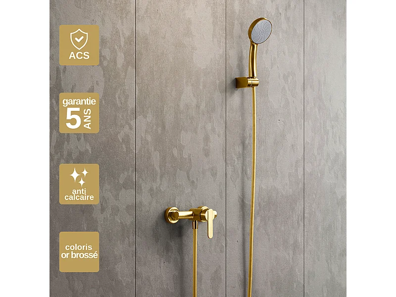 Ensemble de Douche Anti-Calcaire Or Brossé ROMA BDR001-5OC