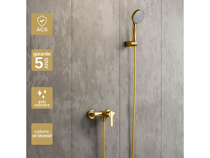 Ensemble de Douche Anti-Calcaire Or Brossé ROMA BDR001-5OC