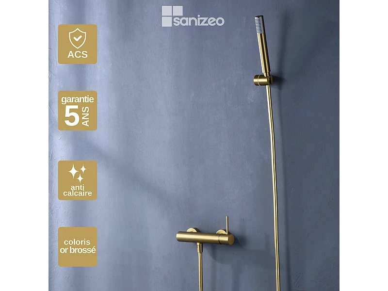 Ensemble de Douche Anti-Calcaire Or Brossé MONZA BDM039-5OC