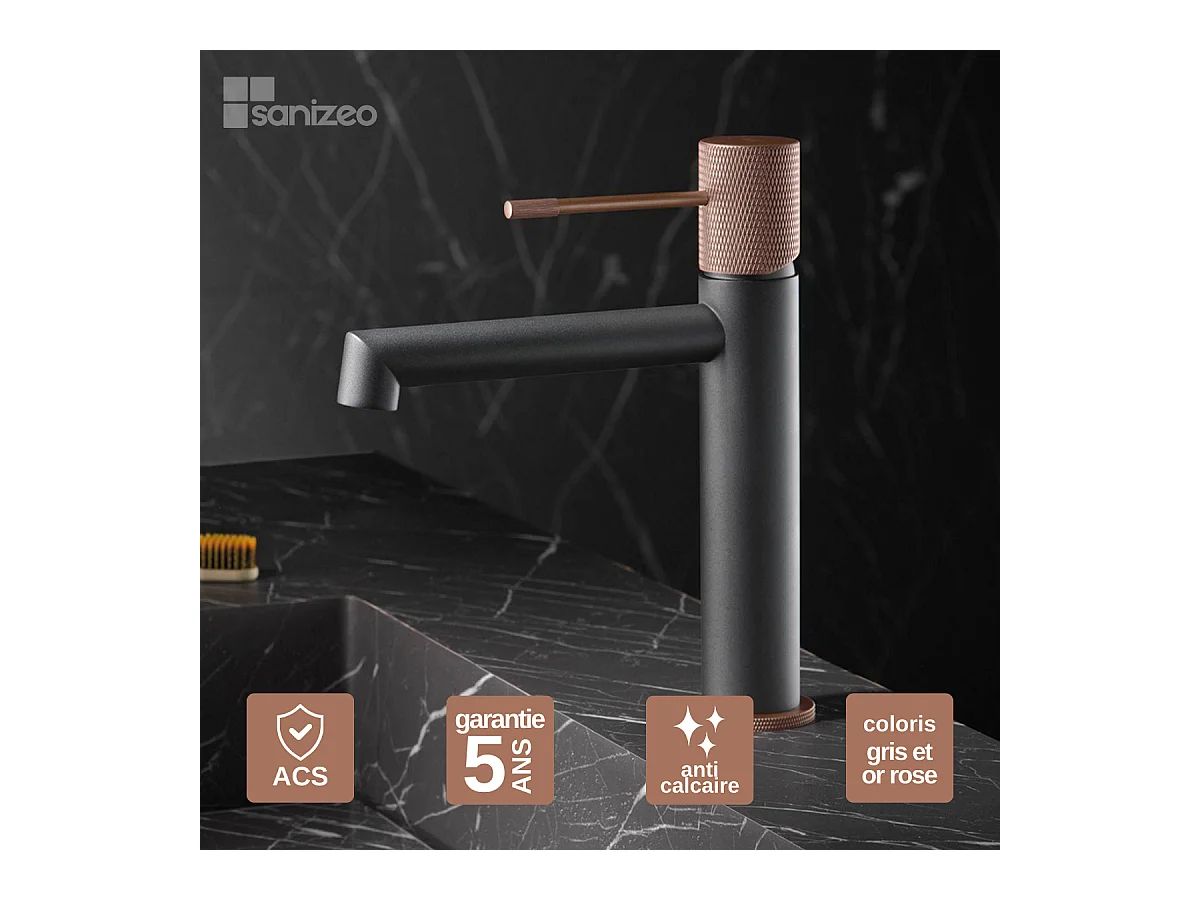 Robinet Mitigeur de Lavabo Anti-Calcaire Bec Bas Gris et Champagne IMEX LINE BDD038-1GC