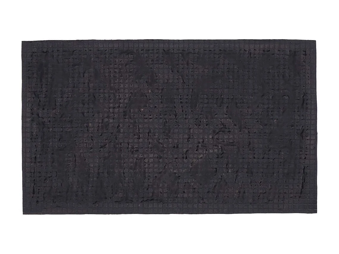 Paillasson en fibres de coco et caoutchouc avec motifs 75 x 45 cm Oiseau