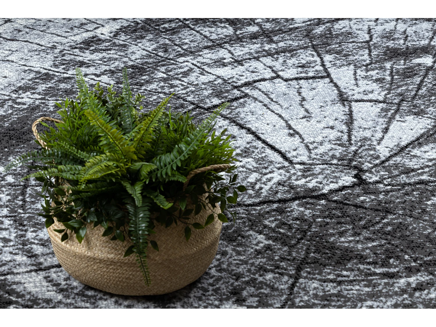 BCF Rug Morad PIEŃ Arbre Bois - gris 140x200 cm