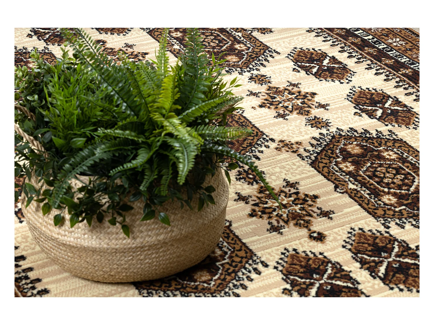 Tapijt BCF Morad ZEGARY klokken, Klassiek - beige 120x170 cm