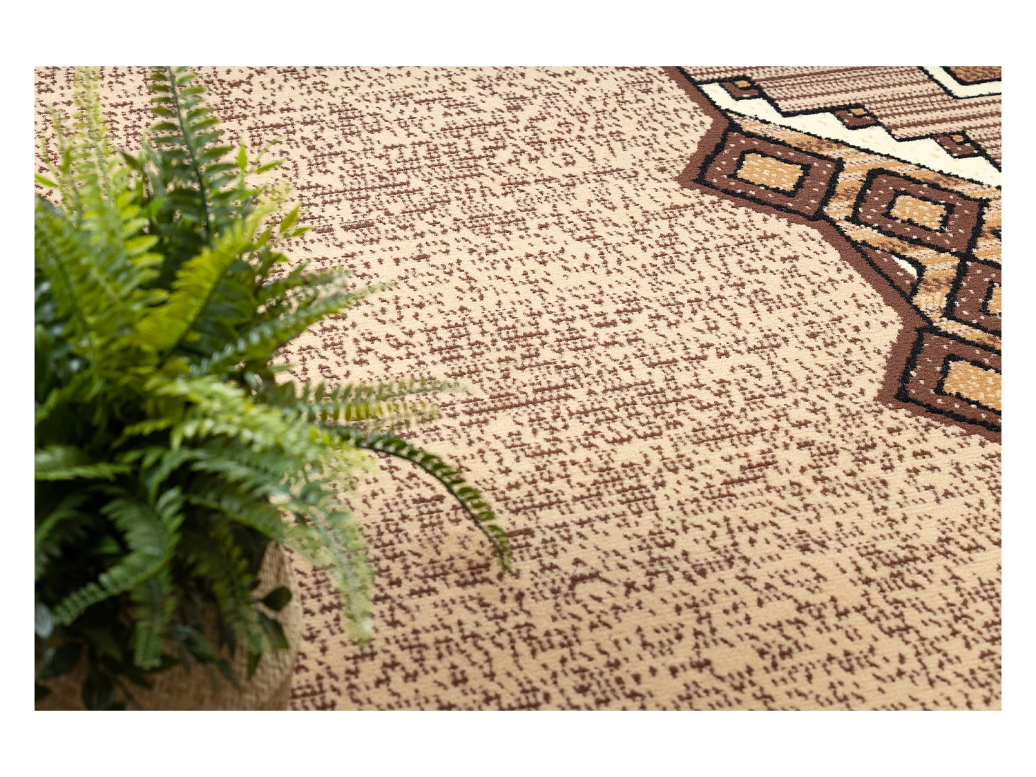 Tapijt BCF Morad BARYTON Klassiek - beige 80x150 cm