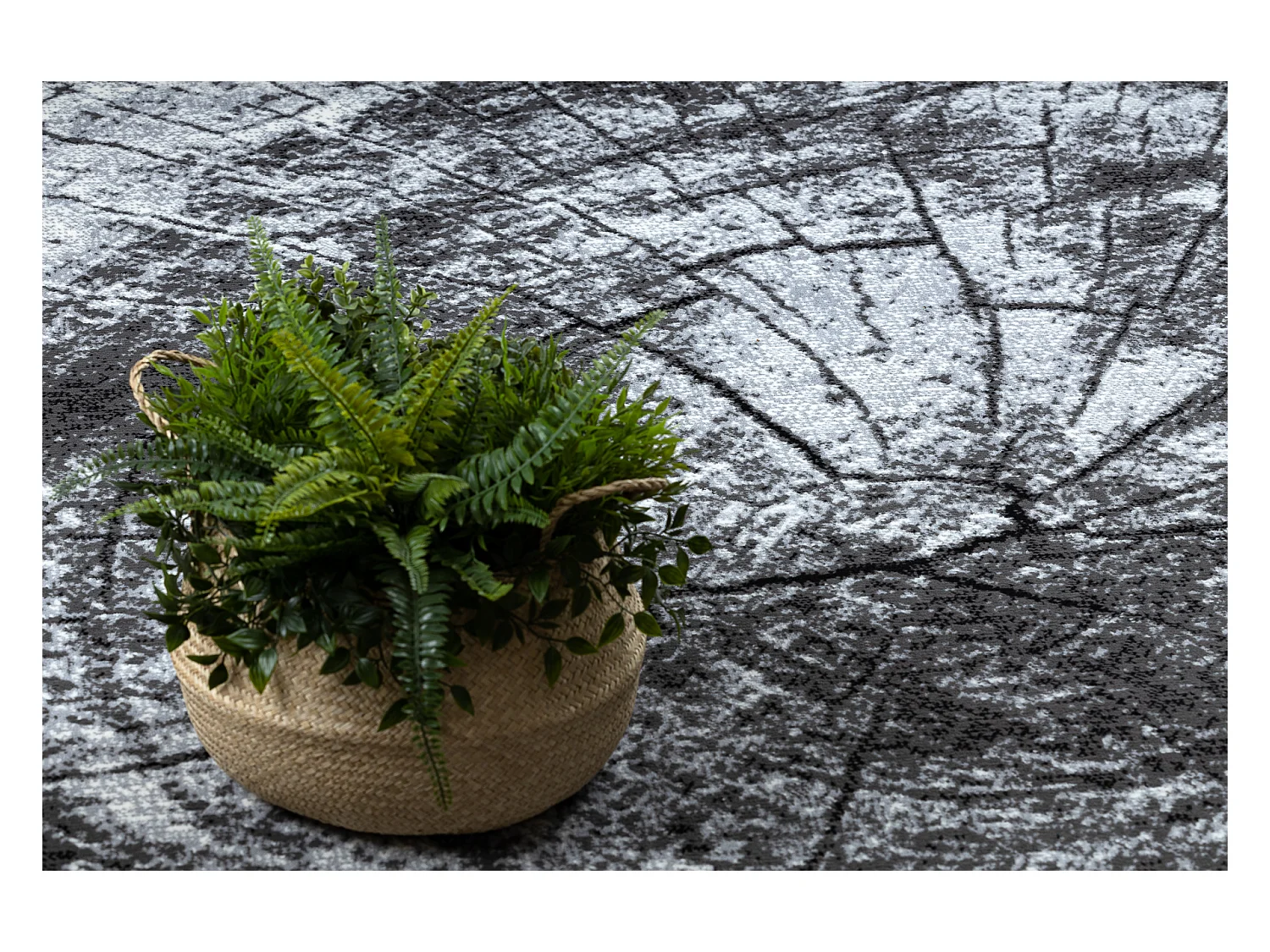 BCF Rug Morad PIEŃ Arbre Bois - gris 240x340 cm