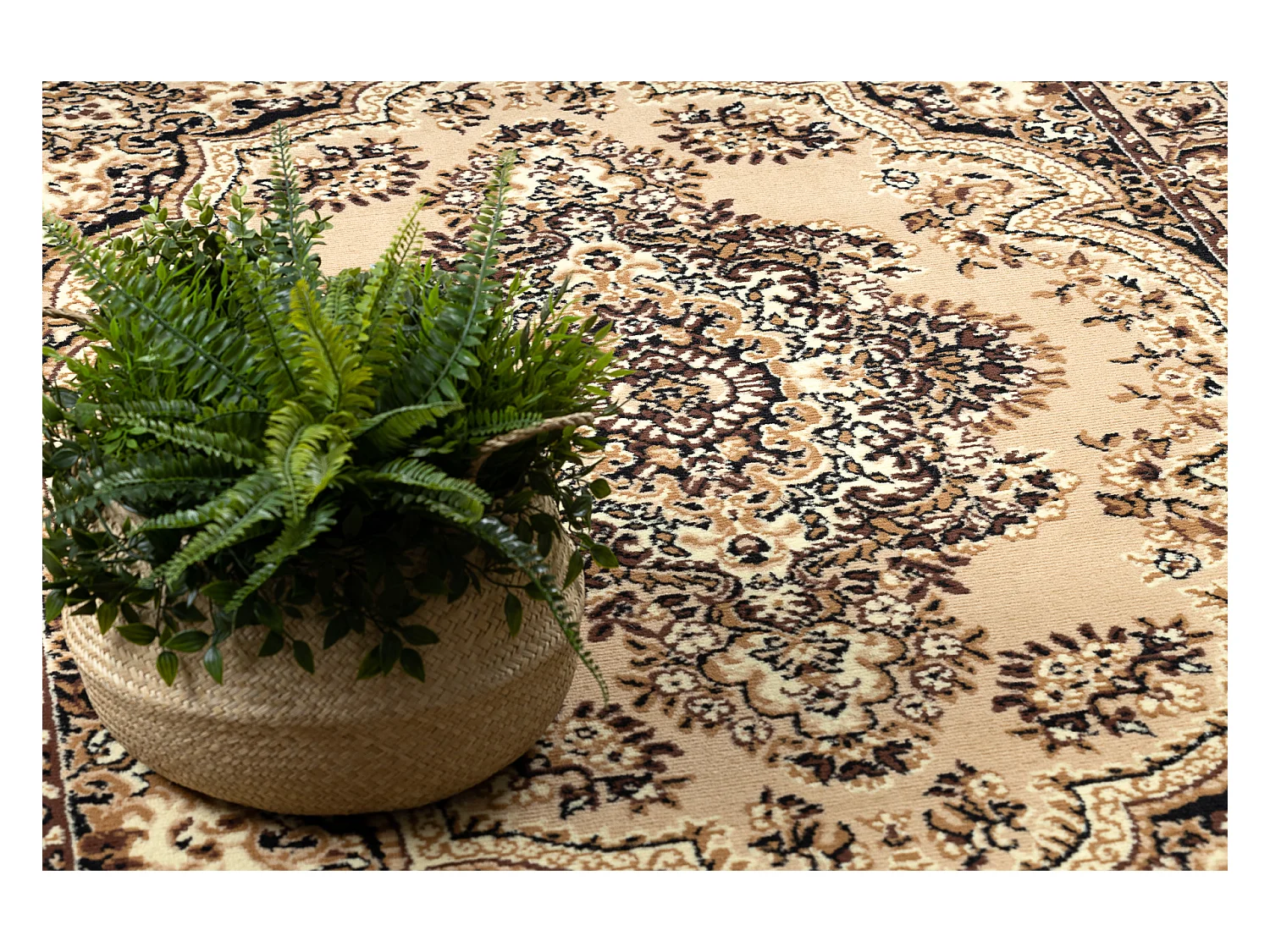 BCF Rug Morad WIOSNA Ornement classique - beige 240x340 cm