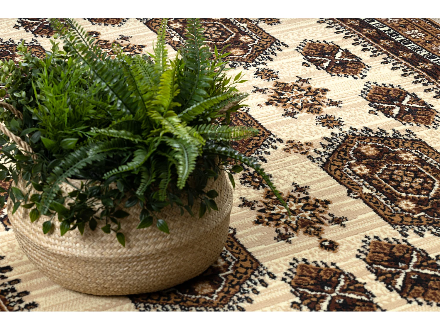 Tapijt BCF Morad ZEGARY klokken, Klassiek - beige 240x340 cm