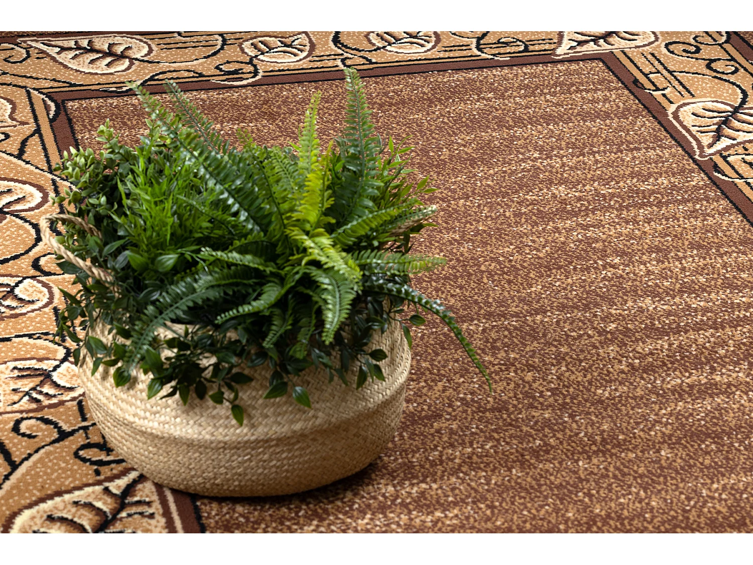 BCF Rug Morad FELIKS cadre, feuilles classique - marron 240x340 cm