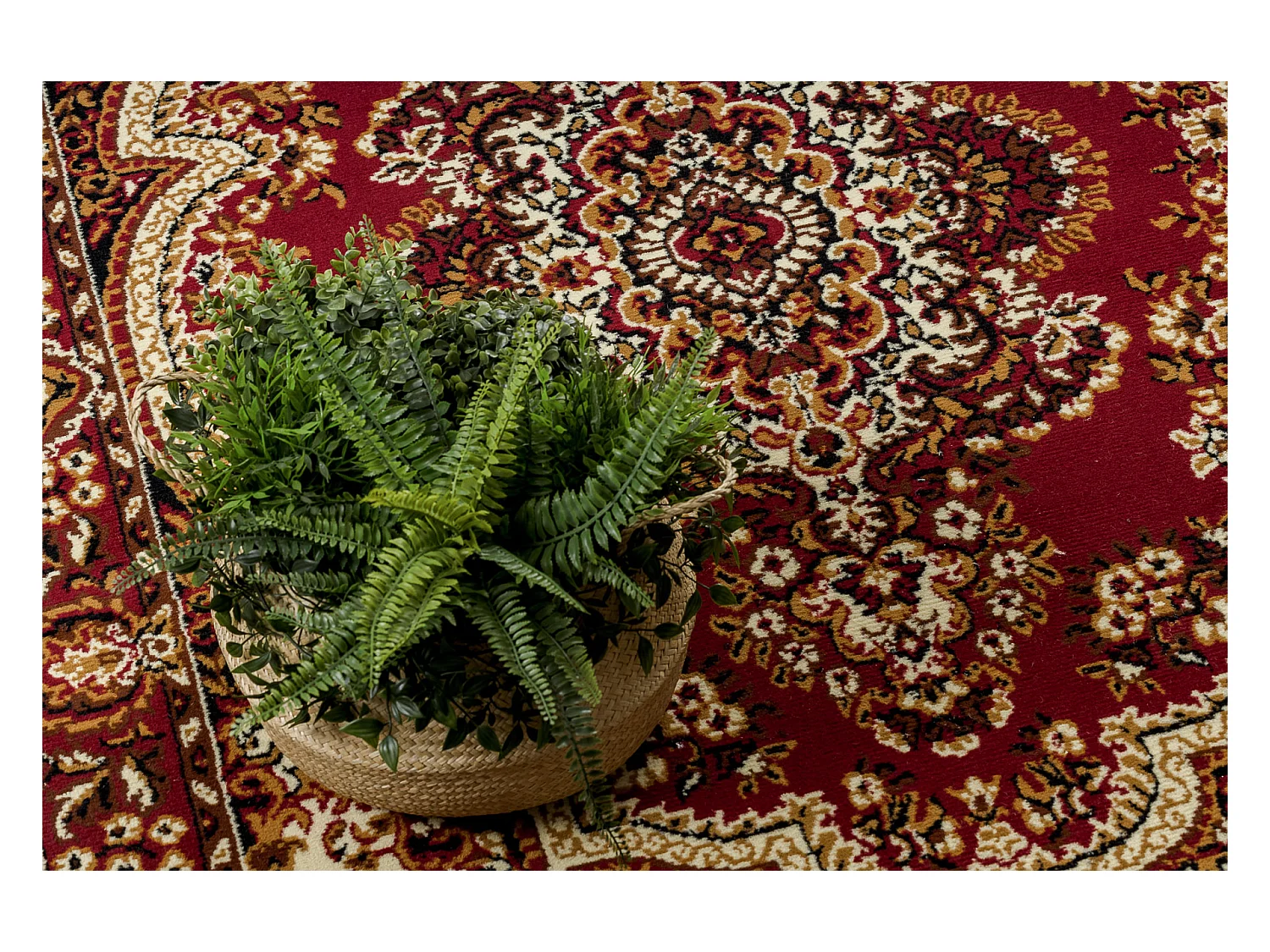 BCF Rug Morad WIOSNA Ornement classique - bordeaux 80x150 cm