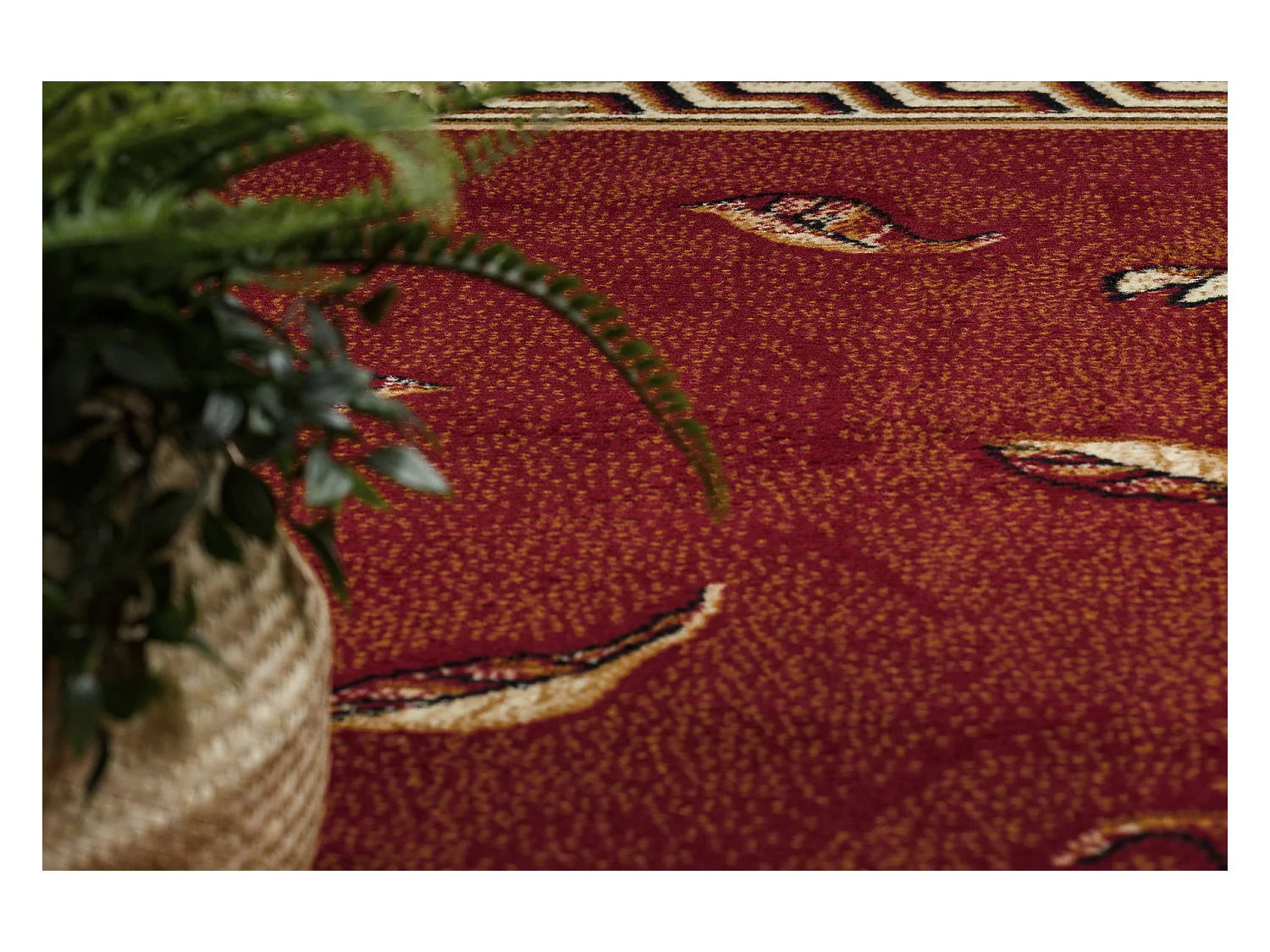 Tapijt BCF Morad TRIO Klassiek bladje, bloemen - bordeauxrood 120x170 cm